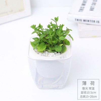 jn江南·体育登录入口